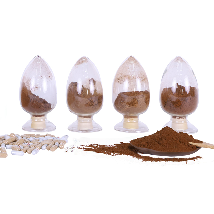 Herbal Red Reishi Mushroom Powder – Certified Organic Supplement